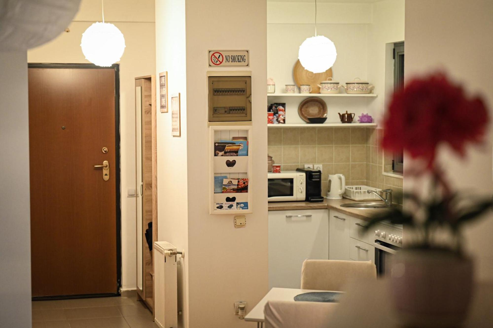 L&B Studio Apartment 普里什蒂纳 外观 照片